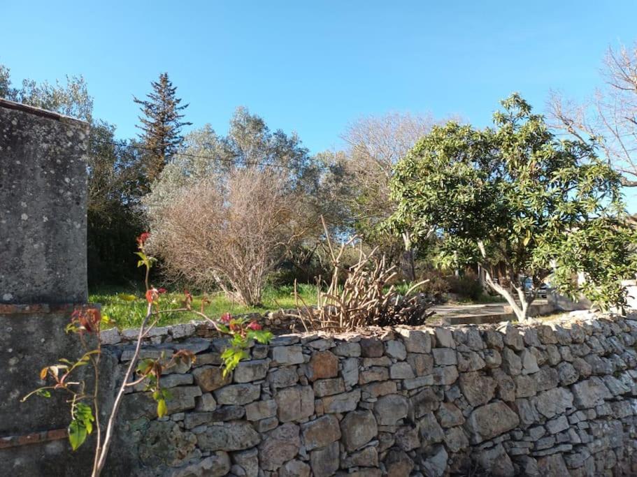 Carnoules  Studio Vintage מראה חיצוני תמונה