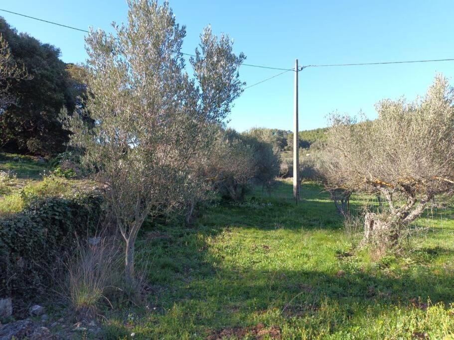 Carnoules  Studio Vintage מראה חיצוני תמונה